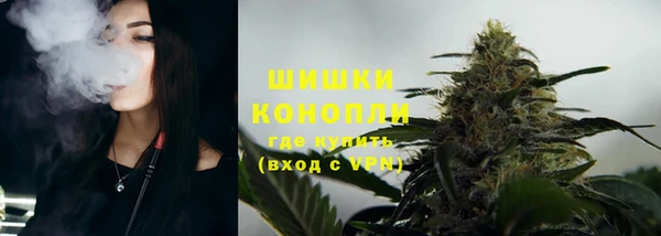 сатива Беломорск