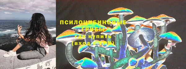 2c-b Балахна