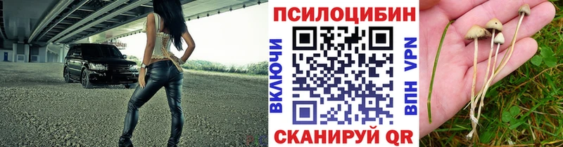 Псилоцибиновые грибы прущие грибы Лесосибирск